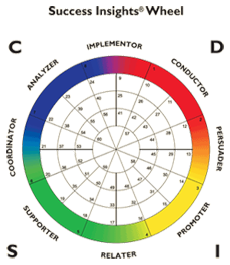 The Success Insights' Wheel